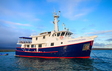 Cachalote Explorer