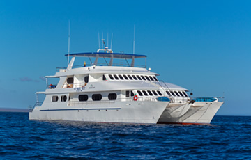 Tip Top II Catamaran